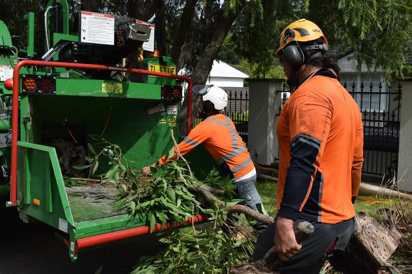 Qualified arborist with wood chipper